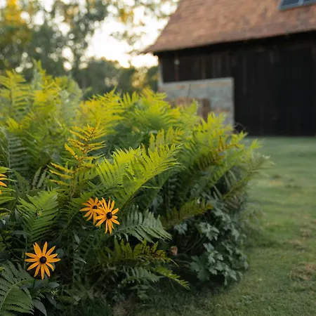Holiday home Gruene Farm